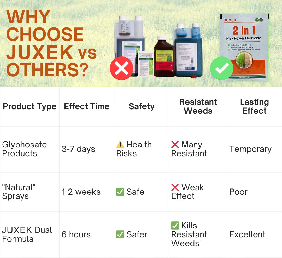✨ From Weed Jungle to Perfect Lawn! | ⏱️ Watch Weeds Wither in 6 Hours! |Juxek® 2-in-1 Max Power Herbicide (100% Glyphosate-Free)