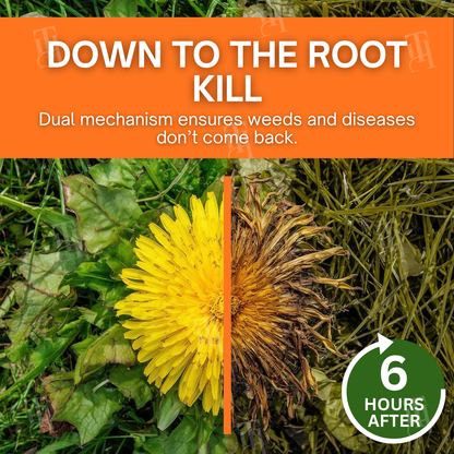 ✨ From Weed Jungle to Perfect Lawn! | ⏱️ Watch Weeds Wither in 6 Hours!  |Juxek® 2-in-1 Max Power Herbicide (100% Glyphosate-Free)